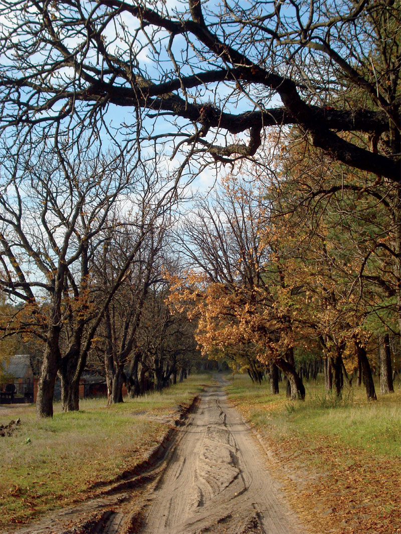 Untitled-3417.jpg