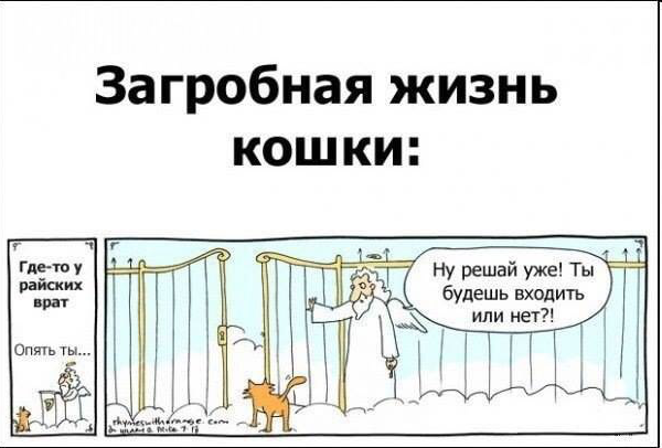 upload_2016-3-29_16-6-42.png