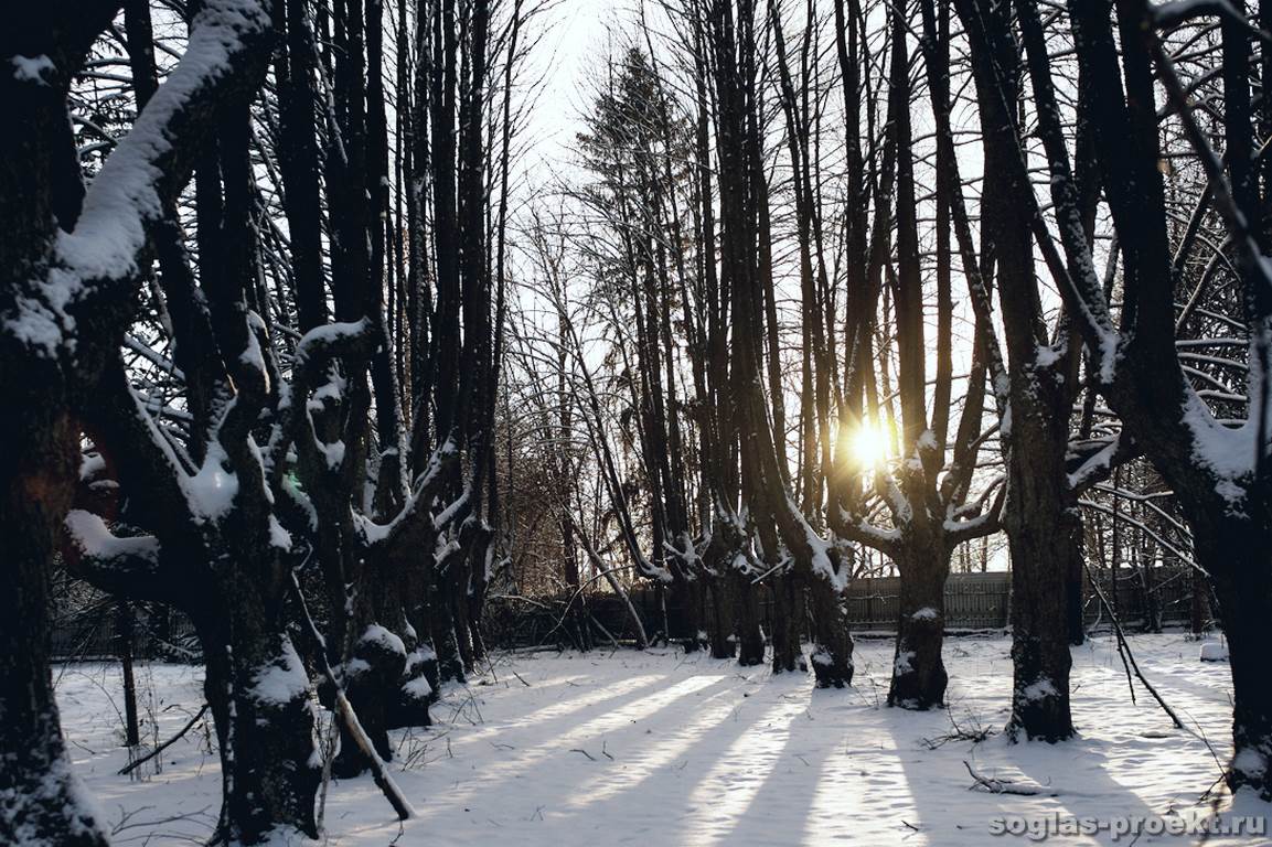 usadba-belogorka-park-2.jpg