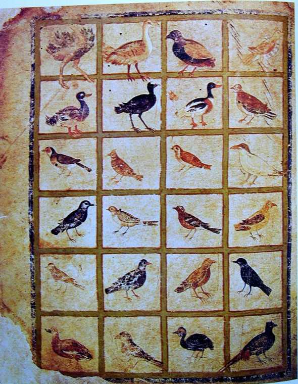 ViennaDioscoridesFolio483vBirds.jpg