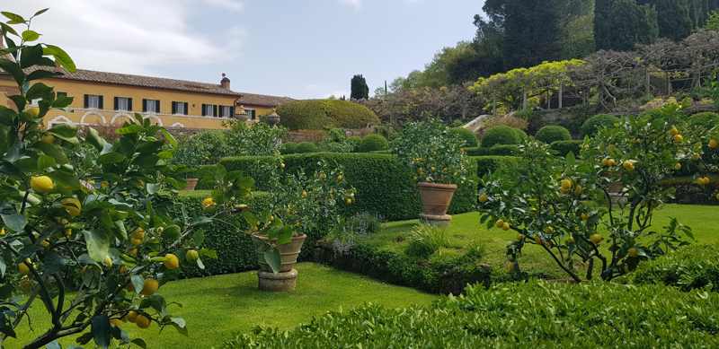 Villa-La-Foce-primo-giardino-limoni.jpg