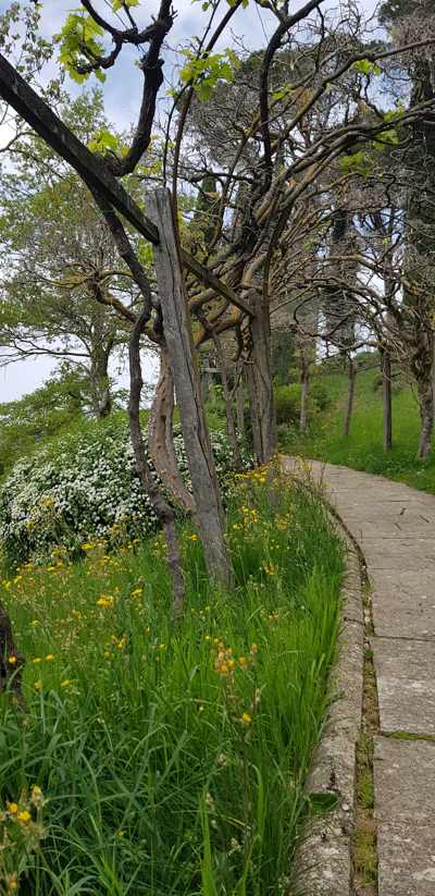 Villa-La-Foce-sentiero-voltabotte.jpg