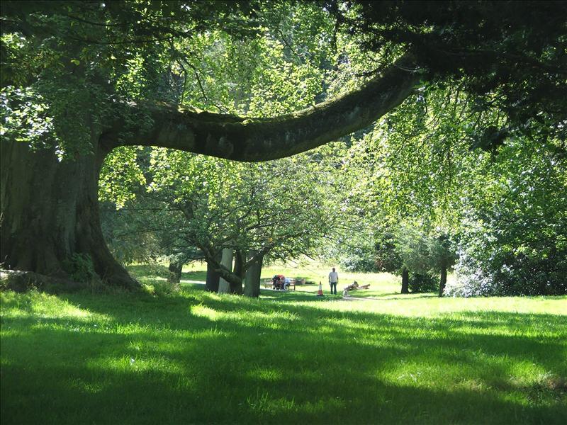 warley_woods_2_2880.jpg