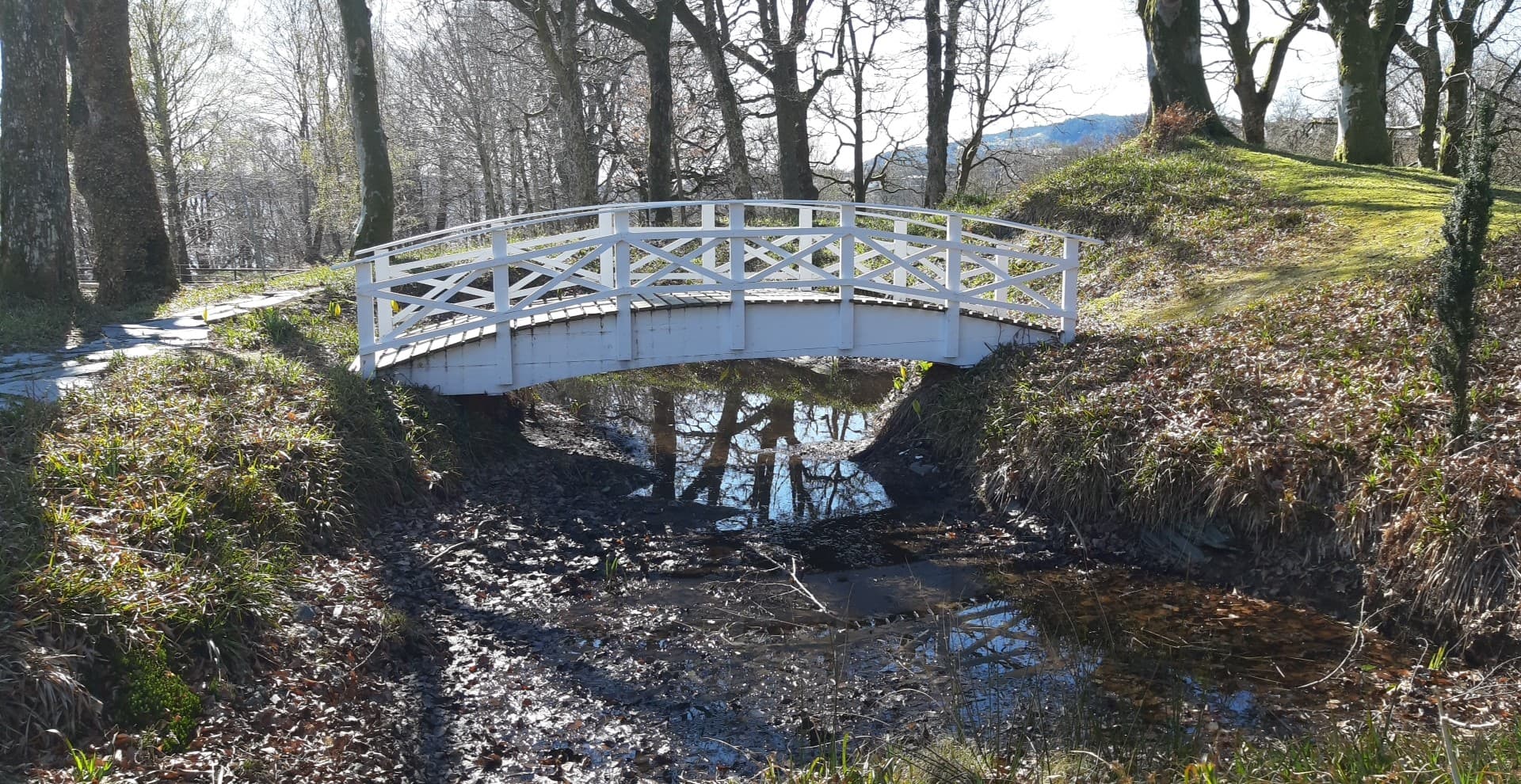 White bridge.jpg