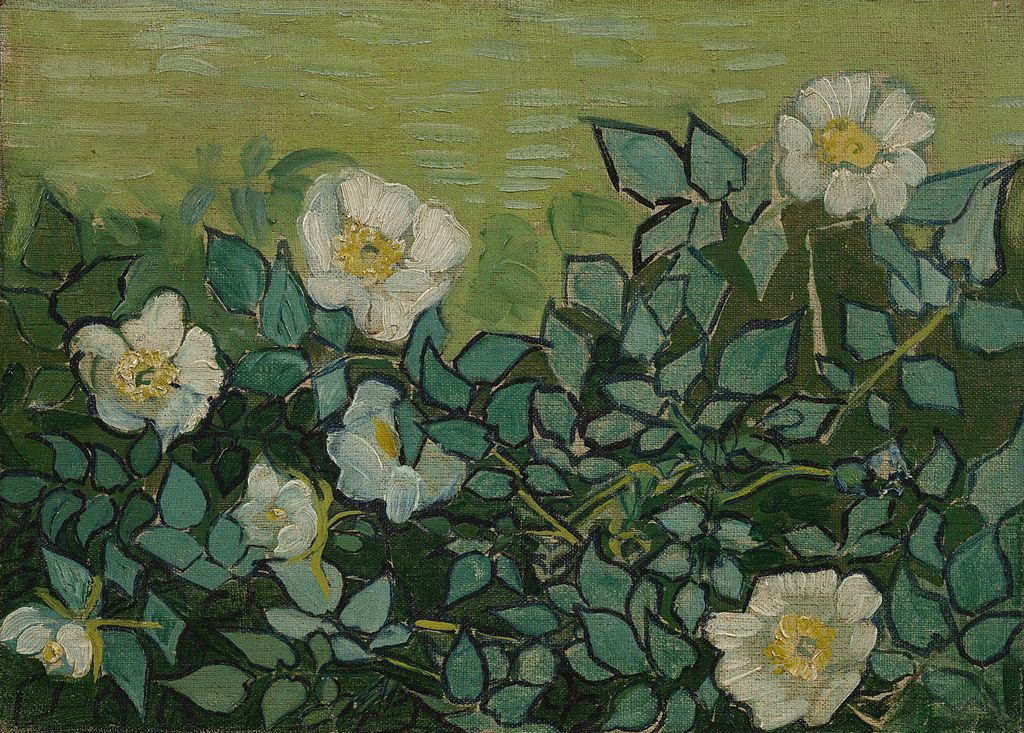 Wilde_rozen_-_s0190V1962_-_Van_Gogh_Museum.jpg