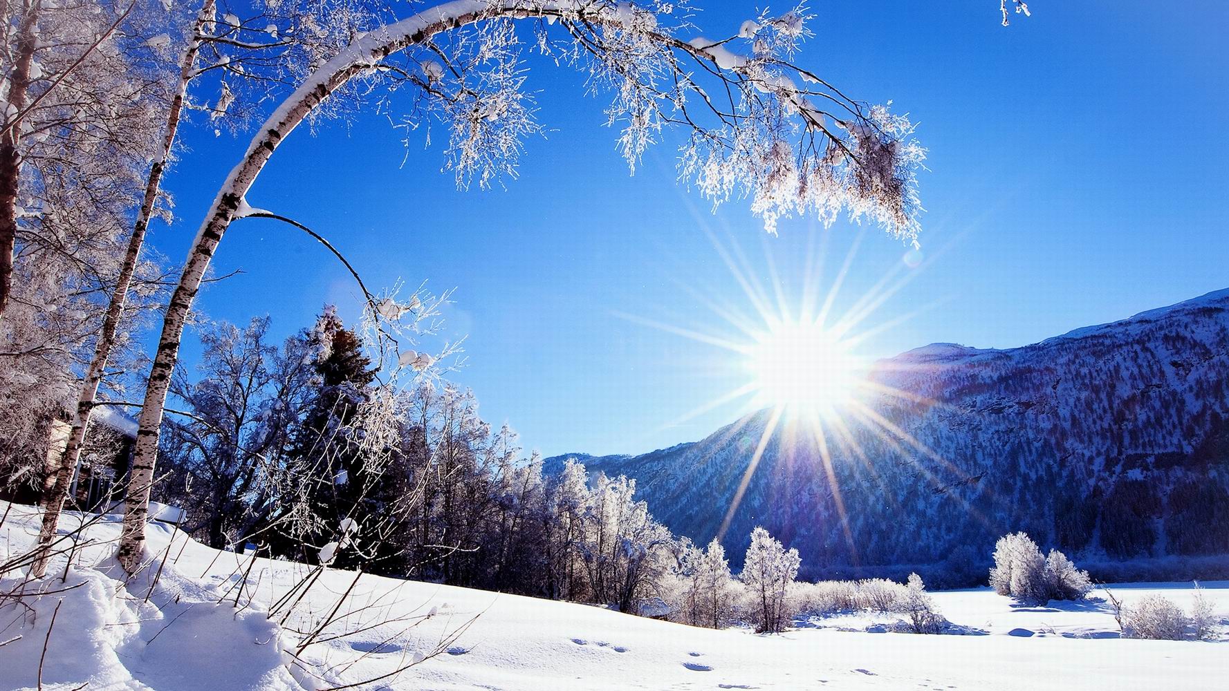 Winter-snow-mountains-and-trees-white-scenery-dazzling-sunshine_1920x1080.jpg