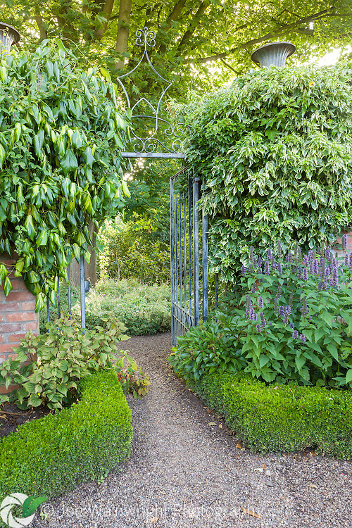 Wollerton-Old-Hall-Garden-The-Lanhydrock-Garden-in-August-17.jpg