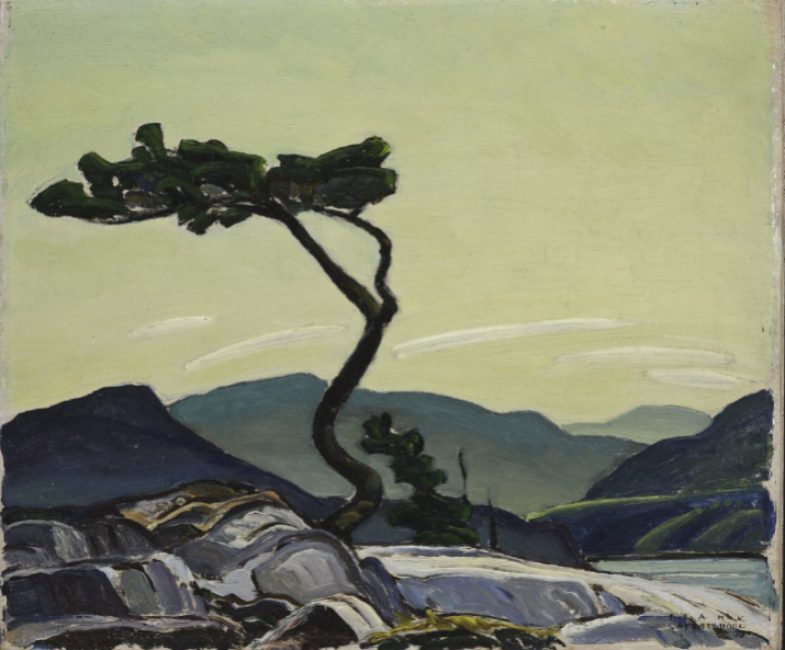 wotwistedpine.jpeg.size.custom.crop.785x650.jpg