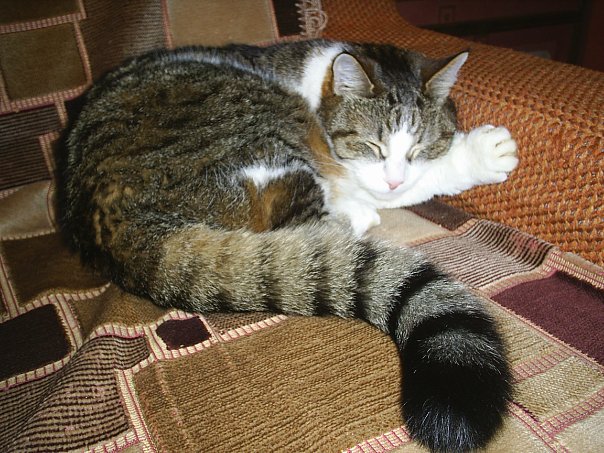 x_06220123.jpg