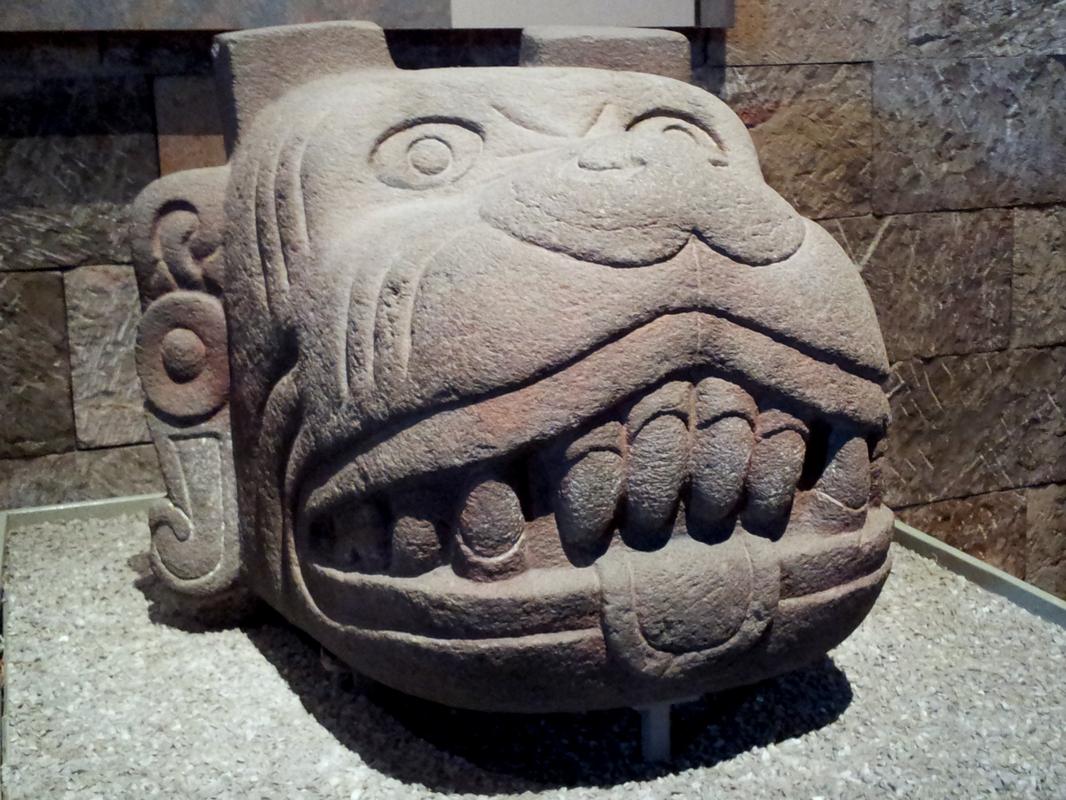 Xolotl_muz.jpg