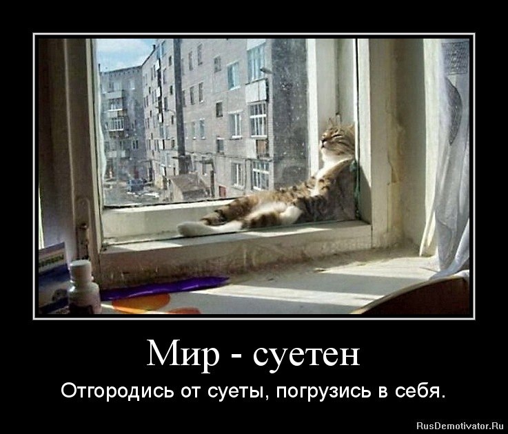 y_ac9c3872.jpg