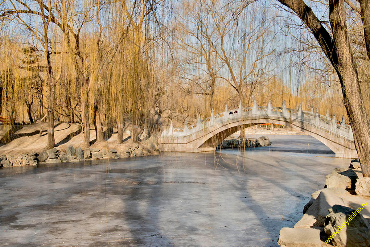 Yuanmingyuan_20140118-04-1200.jpg