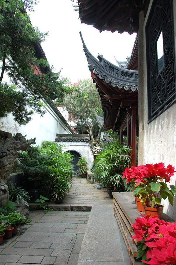 yujyuan-sad-radosti-shanxaj-9.jpg