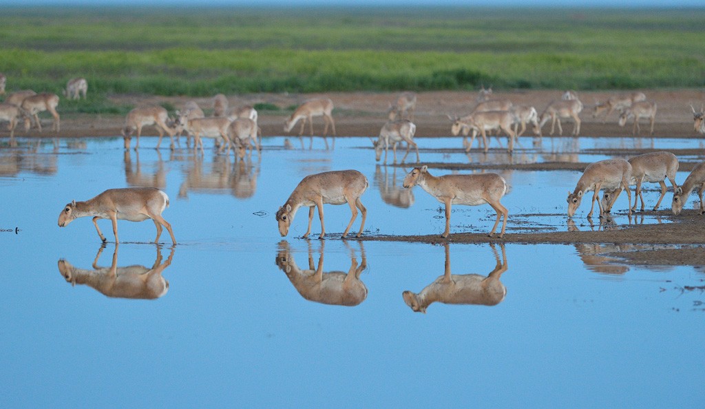 zapovednik_chernie_zemli_8.jpg