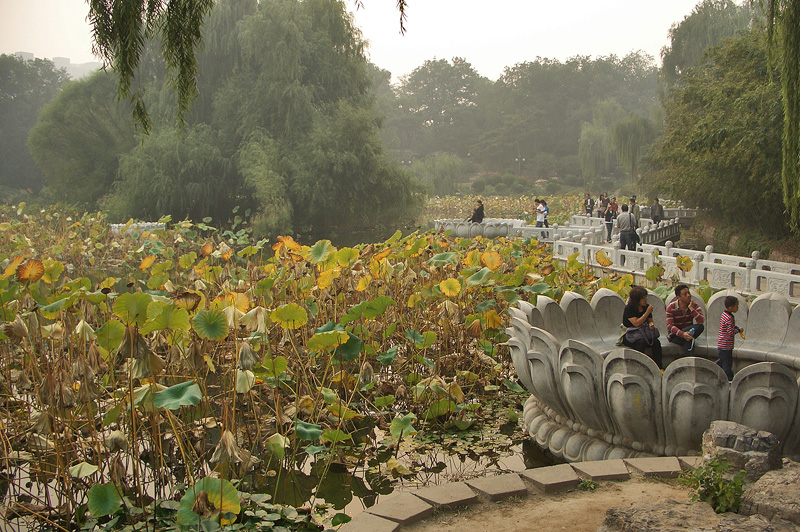 Zizhuyuan-17.jpg