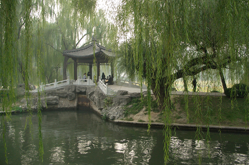 Zizhuyuan-40.jpg
