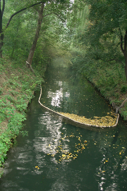 Zizhuyuan-41.jpg