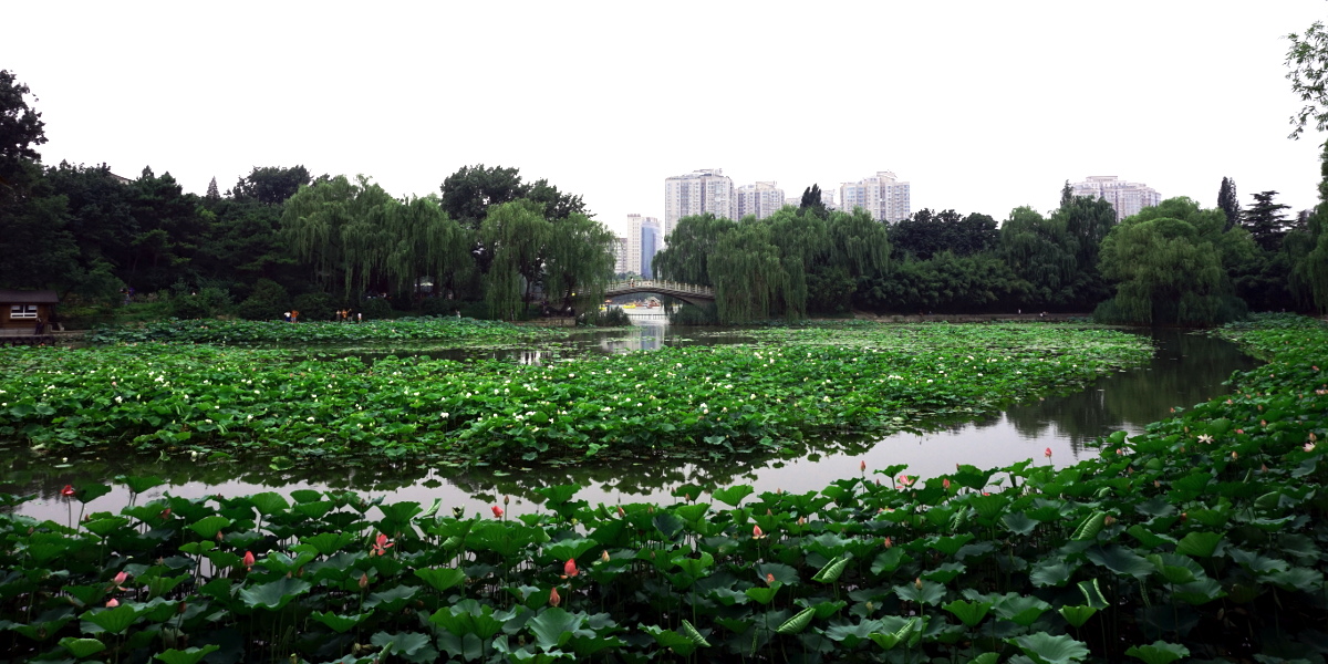 zizhuyuan-park.jpg