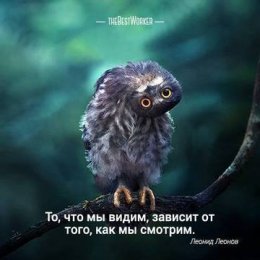зависит от взгляда.jpg