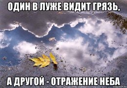В дождь один видит радугу в небе, другой - лужи под ногами..jpg
