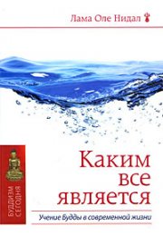 Лама Оле Нидал - Каким все является. Учение Будды в современной жизни.jpg