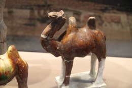 Tang_Terracotta_Camel_(9908510633).jpg