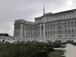 IMG_20241028_123315.jpg