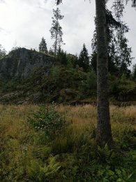 IMG_20260827_092917_296.jpg