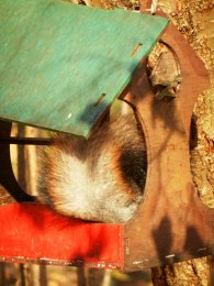 DSCN0901.JPG
