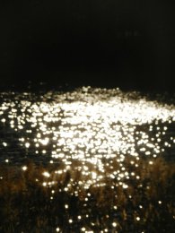 DSCN0927.JPG