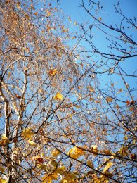 DSCN0938.JPG