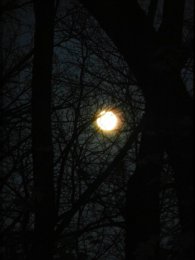 DSCN1002.JPG