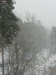 DSCN9869.JPG