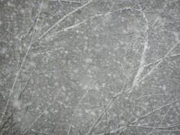 DSCN9873.JPG
