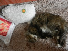DSCN9880.JPG