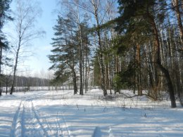 DSCN5288.JPG