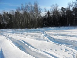 DSCN5311.JPG