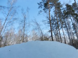 DSCN5337.JPG