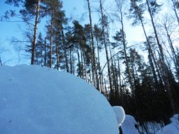 DSCN5343.JPG