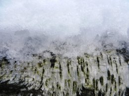 DSCN5335.JPG
