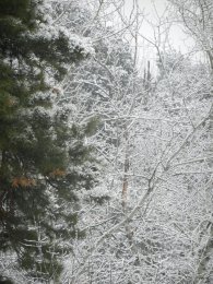 DSCN9950.JPG