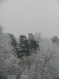 DSCN9953.JPG