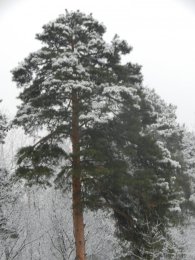 DSCN9954.JPG