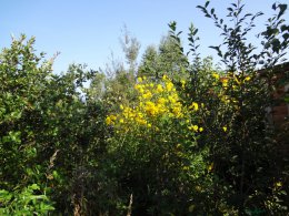 DSC03087.JPG