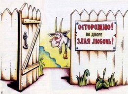Злая любовь.jpg