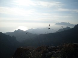 SDC16069.JPG