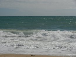 DSCN6078.JPG