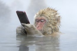 Что нового вконтакте.jpg