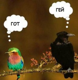 Гей и гот.jpg