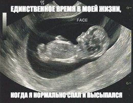 Высыпался.jpg
